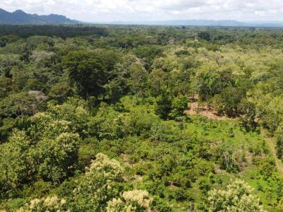 Emeri Grove, Emeri Grove, Toledo 00001, Belize