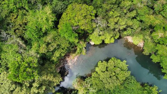 Big Falls, Big Falls, Toledo 00001, Belize