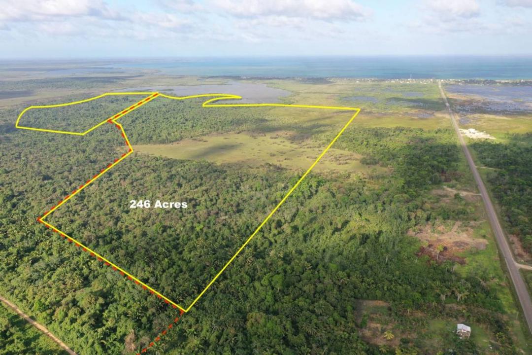 Hopkins, Hopkins, Stann Creek 00001, Belize