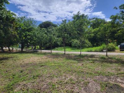 Punta Gorda, Punta Gorda, Toledo 00001, 伯利兹