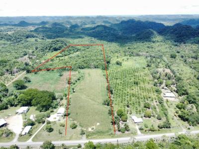 Cayo District, Cayo District, Cayo 00001, Belize