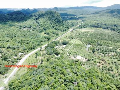 Cayo District, Cayo District, Cayo 00001, Belize