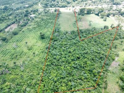 Cayo District, Cayo District, Cayo 00001, Belize