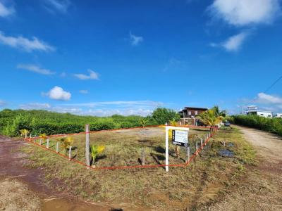 Placencia Village, Placencia Village, Placencia Peninsula 00001, Belize