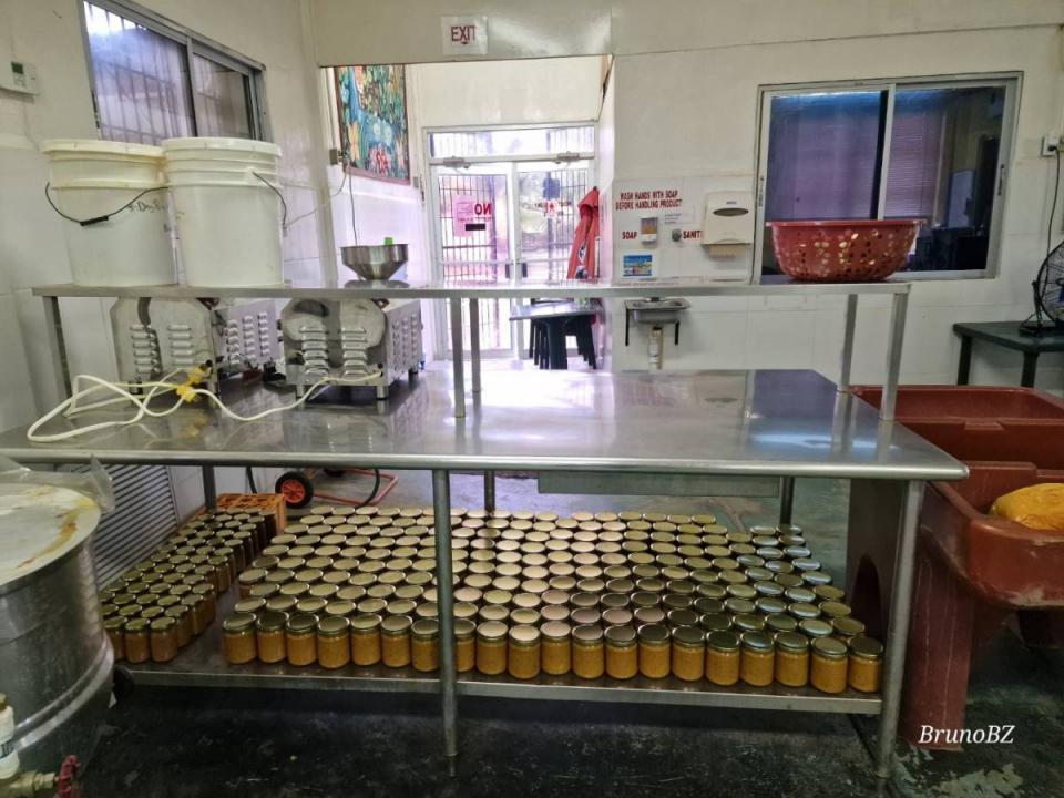 Hopeville, Hopeville, Toledo 00001, Belize