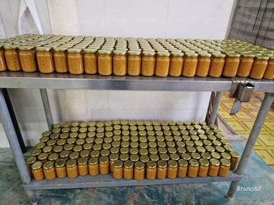 Hopeville, Hopeville, Toledo 00001, Belize