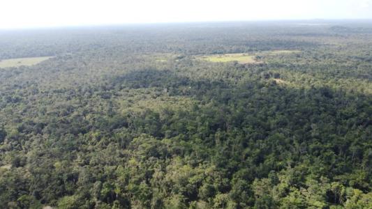 Eldridgeville, Eldridgeville, Toledo 00001, Belize