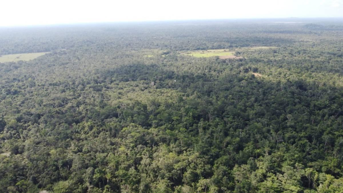 Eldridgeville, Eldridgeville, Toledo 00001, 伯利兹