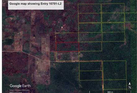 Cotton Tree, Cotton Tree, Cayo +501, ベリーズ