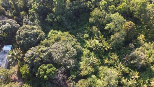 Punta Gorda, Punta Gorda, Toledo 00001, 伯利兹