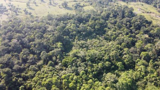 Punta Gorda, Punta Gorda, Toledo 00001, 伯利兹