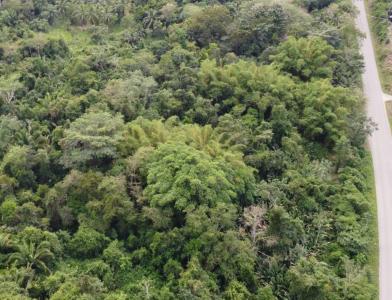 Toledo District, Toledo District, Toledo 00001, Belize