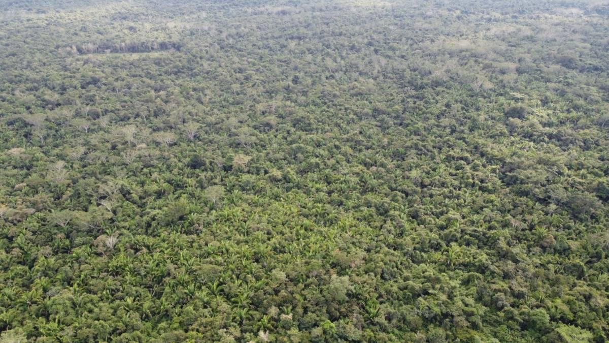 Toledo District, Toledo District, Toledo 00001, 貝里斯