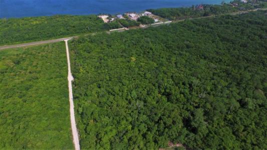 Corozal District, Corozal District, Corozal 00001, Belize