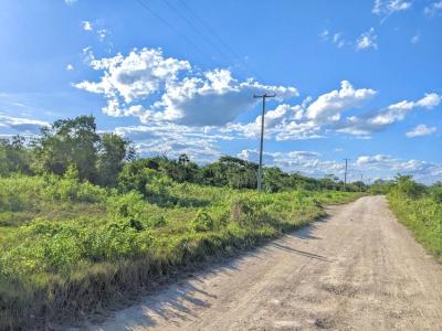 Corozal District, Corozal District, Corozal 00001, Belize