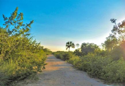 Corozal District, Corozal District, Corozal 00001, Belize
