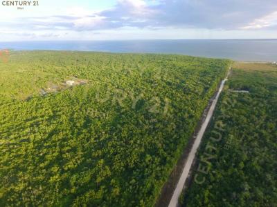 Corozal District, Corozal District, Corozal 00001, Belize