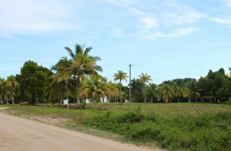 Corozal District, Corozal District, Corozal 00001, Belize