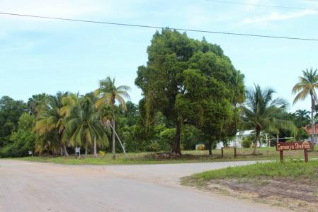 Corozal District, Corozal District, Corozal 00001, Belize