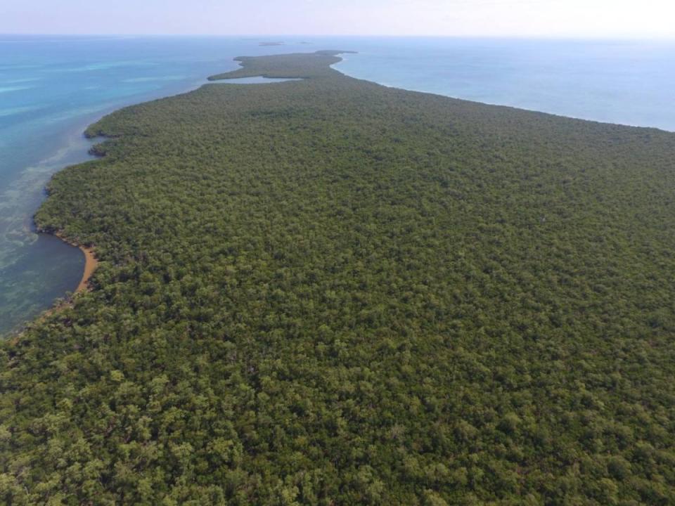 Belize City, Belize City, Belize District 00001, Belice