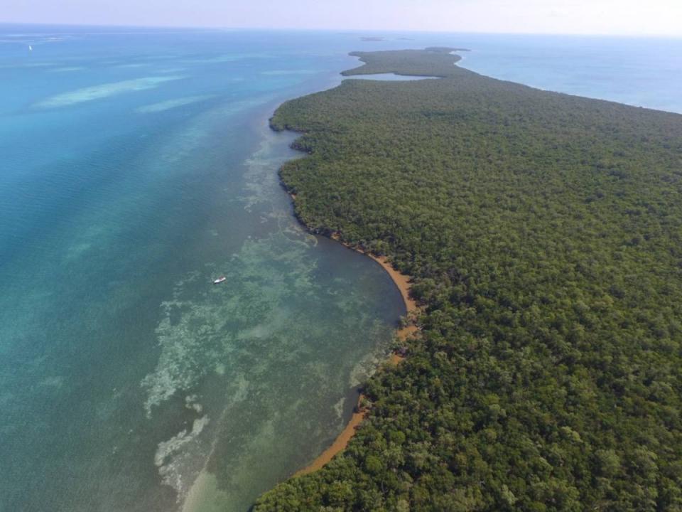 Belize District, Belize District, Belize District 00001, Bélize