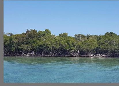 Belize District, Belize District, Belize District 00001, Bélize