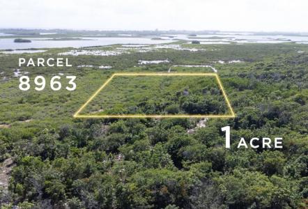 San Pedro Town, San Pedro Town, Ambergris Caye 00001, Belize