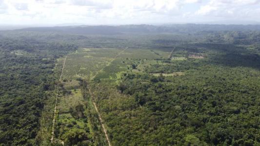 Golden Stream, Golden Stream, Toledo 00001, Belize