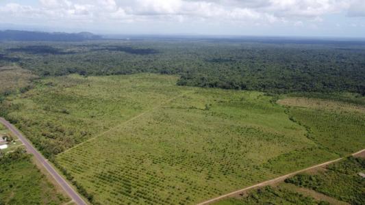 Golden Stream, Golden Stream, Toledo 00001, Belize
