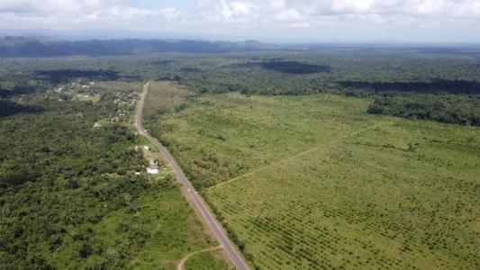 Golden Stream, Golden Stream, Toledo 00001, Belize