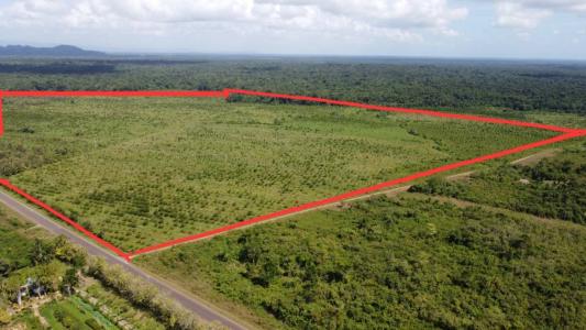 Golden Stream, Golden Stream, Toledo 00001, Belize