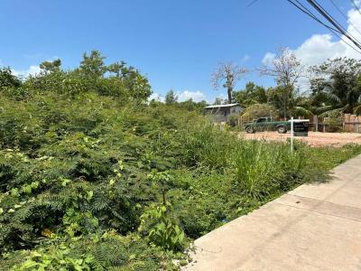 Belize City, Belize City, Belize District 0000, 벨리즈