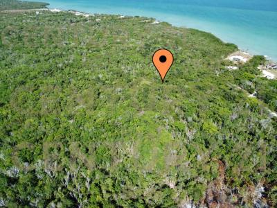 Corozal District, Corozal District, Corozal 00001, Belize