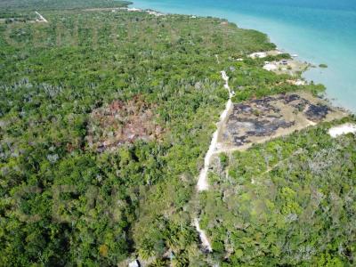 Corozal District, Corozal District, Corozal 00001, Belize