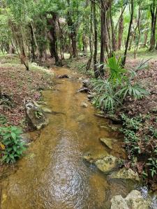 Toledo District, Toledo District, Toledo 00001, Belize