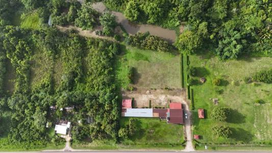 Forest Home, Forest Home, Toledo 00001, Belize