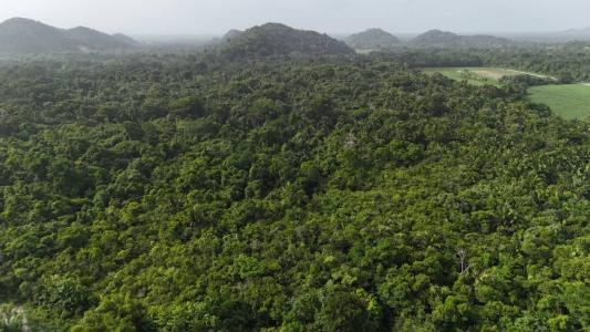 Forest Home, Forest Home, Toledo 00001, בליז