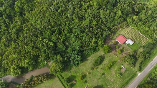 Forest Home, Forest Home, Toledo 00001, בליז