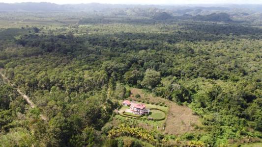 Golden Stream, Golden Stream, Toledo 00001, Belize