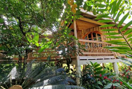 Golden Stream, Golden Stream, Toledo 00001, بيليز 