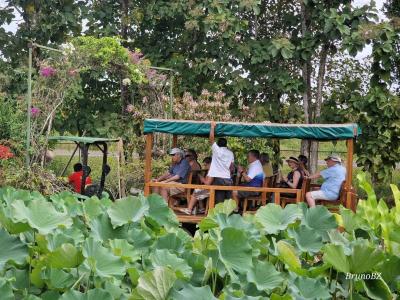 Golden Stream, Golden Stream, Toledo 00001, بيليز 