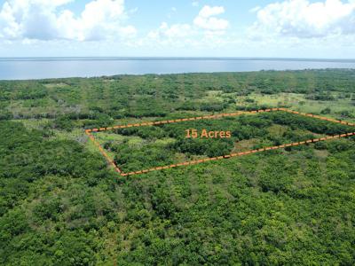 Corozal District, Corozal District, Corozal 00001, Belize