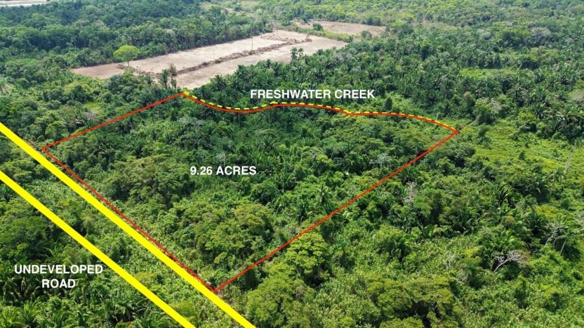 Silk Grass, Silk Grass, Stann Creek 00001, Belize