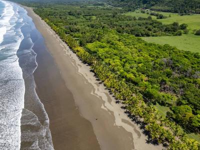 Quepos, Savegre, Quepos, 蓬塔雷纳斯 60601, 哥斯达黎加