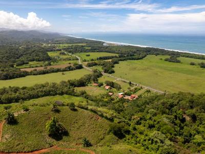 Quepos, Savegre, Quepos, 蓬塔雷纳斯 60601, 哥斯达黎加