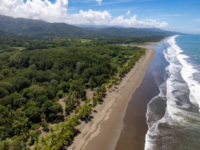 Quepos, Savegre, Quepos, 蓬塔雷纳斯 60601, 哥斯达黎加