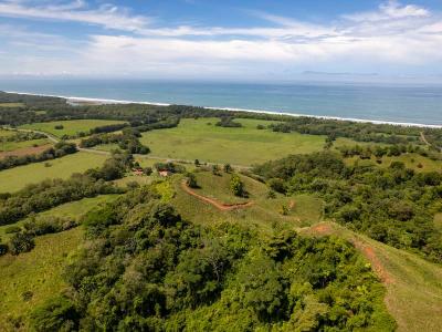 Quepos, Savegre, Quepos, 蓬塔雷纳斯 60601, 哥斯达黎加