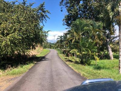 Parrita, Parrita, 蓬塔雷納斯 60901, 哥斯達尼加