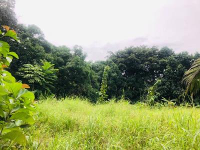 Parrita, Parrita, 蓬塔雷納斯 60901, 哥斯達尼加