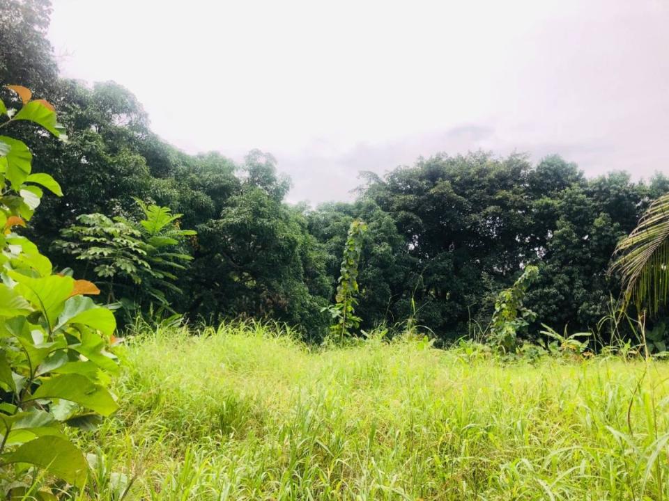 Parrita, Parrita, Puntarenas 60901, Costa Rica